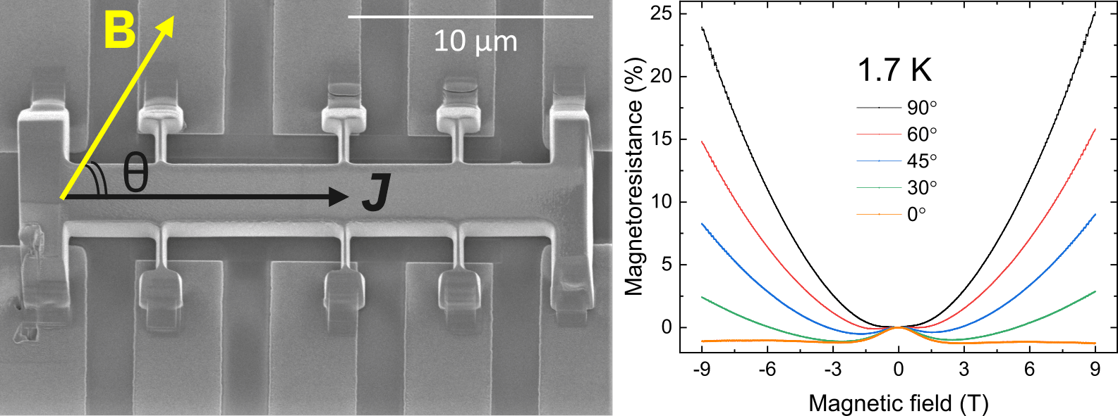 Scanning electron micrograph of a CoSi micro-scale Hall bar and magnetoresistance at 1.7 K upon variation of the angle between the applied magnetic field and the current density