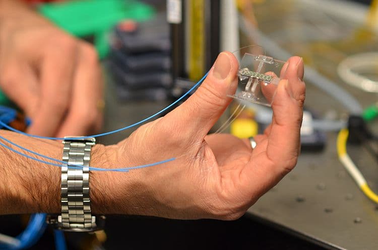 A hand holding a small silicon chip.