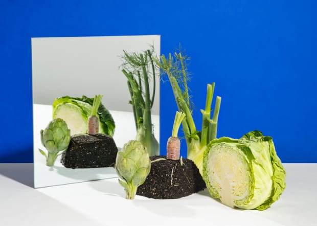 Artichoke, carrot, celery and lettuce on table facing a mirror with blue wall behind them 