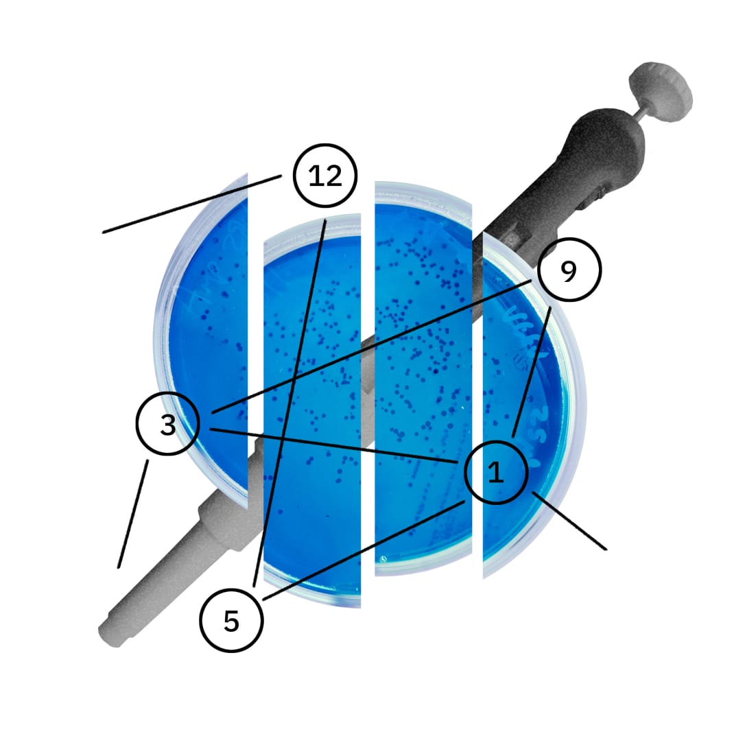 Graphic design of blue petri dish broken into pieces with arrows and numbers across it