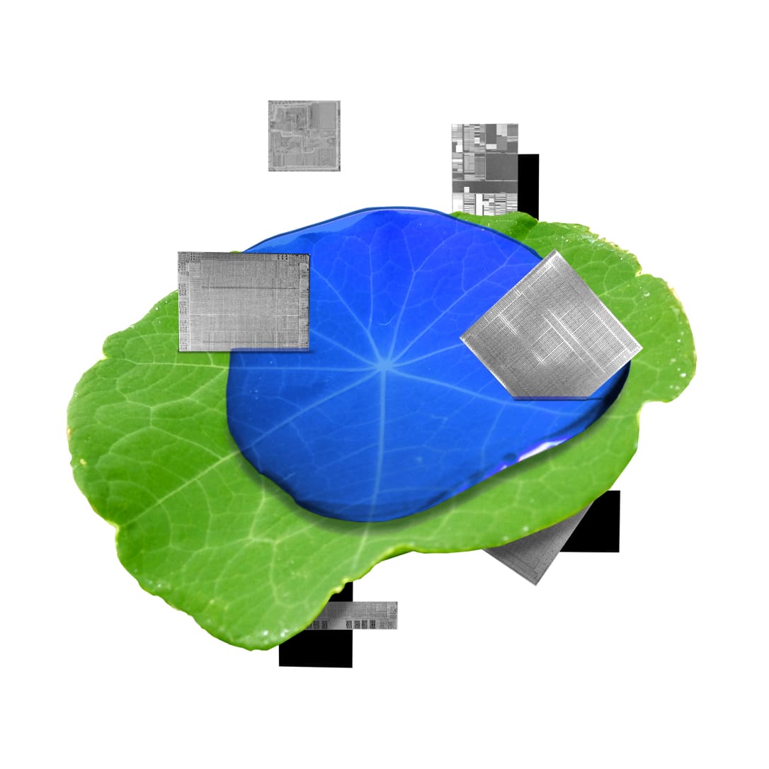 Graphic design of photoresists on top of blue water puddle on green leaf 